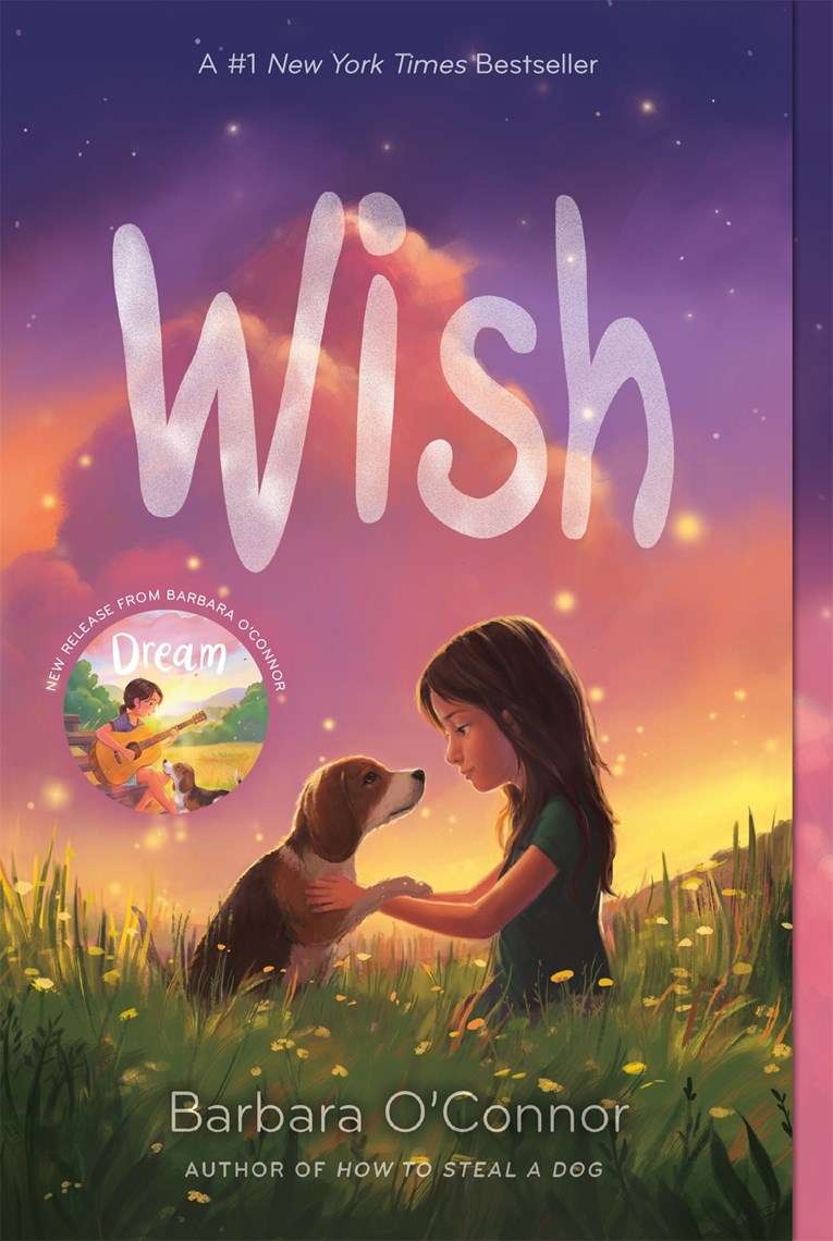 wish by barbara o'connor cover image